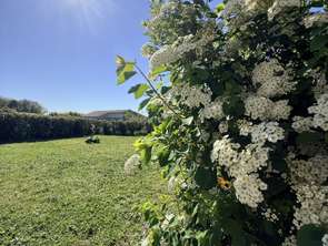 Vente Maison 5 piècesBenon