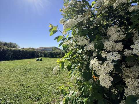 Vente maison 5 pièces Benon 17