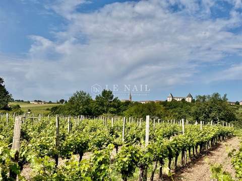 Vente maison 12 pièces