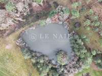 Vente maison 13 pièces