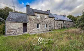 Photo Vente maison Berrien