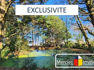 Vente maison 11 pièces