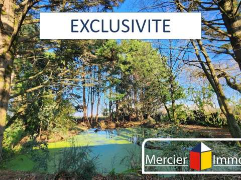 Vente maison 11 pièces