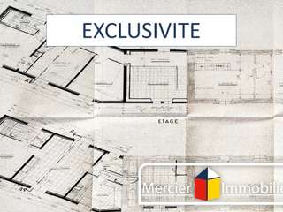 Vente maison 11 pièces
