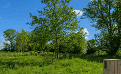 Photo Vente maison Besné