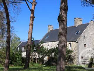 Vente maison 21 pièces