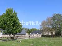 Vente maison 21 pièces