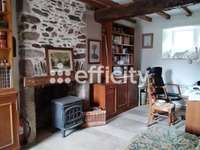 Vente maison 21 pièces