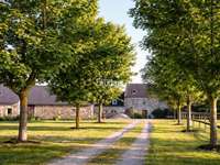 Vente maison 21 pièces