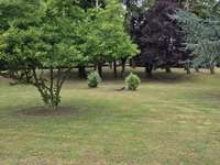 Vente maison 1 pièce