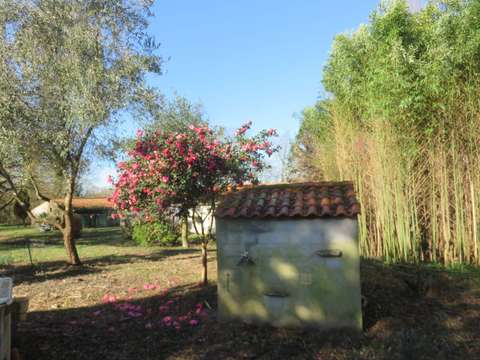 Vente maison 4 pièces Bois-de-Céné 85