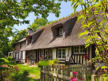 Vente maison 6 pièces Bonnebosq 14