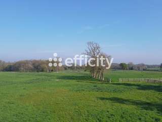 Vente maison 13 pièces