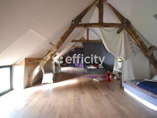 Vente maison 13 pièces