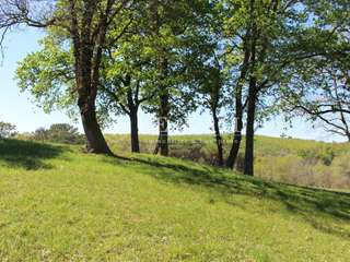 Vente maison 30 pièces