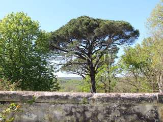 Vente maison 30 pièces