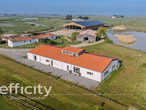 Vente maison 11 pièces Bouin 85