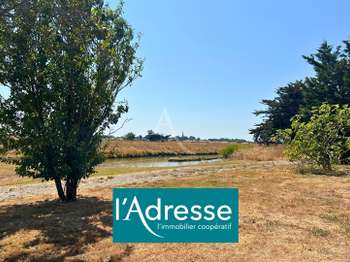 Vente maison 4 pièces Bouin 85