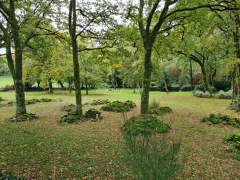 Vente Maison 4 chambresBrandivy