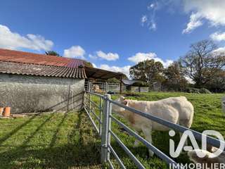 Vente maison 11 pièces