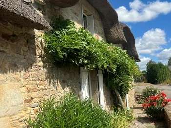 Vente MaisonBrech