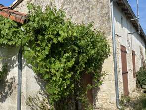 Vente Maison 1 pièceBrioux-sur-Boutonne