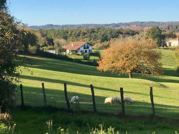 Vente Maison 4 chambresBriscous