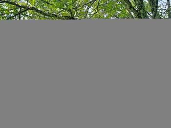 Vente Maison 5 chambresBroons