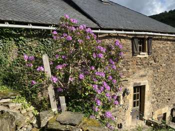 Vente maison 4 pièces Brousse-le-Château 12