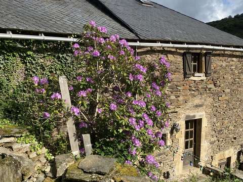 Vente maison 4 pièces Brousse-le-Château 12