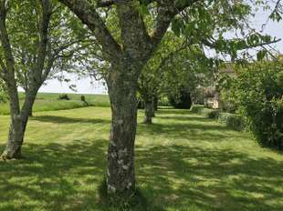 Photo Vente maison Bunzac