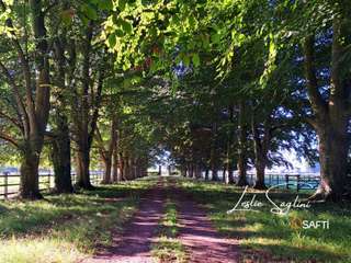 Vente maison 14 pièces