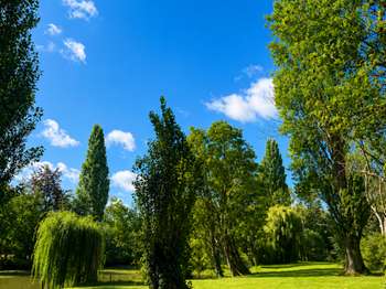 Vente Maison 13 chambresCabourg