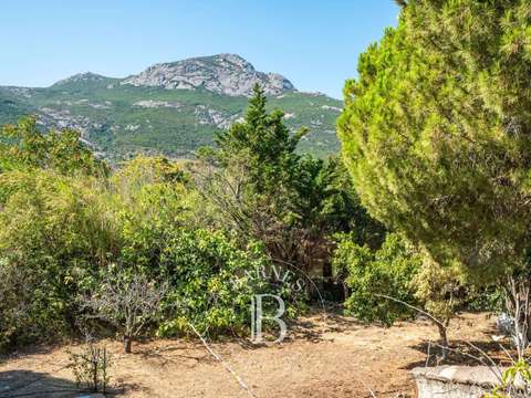 Vente maison 7 pièces Calvi 2B