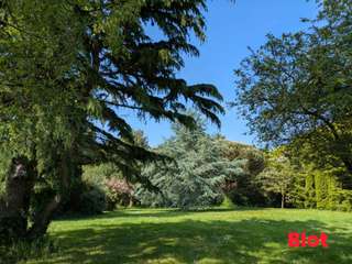 Vente maison 14 pièces