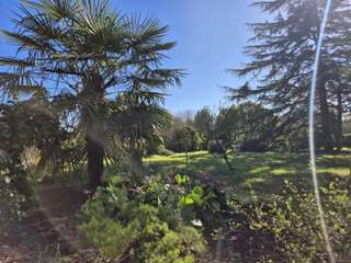 Vente maison 13 pièces
