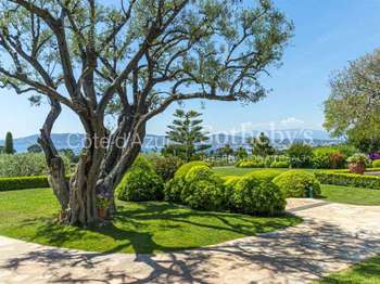 Vente maison 12 pièces Cap-d-antibes 06