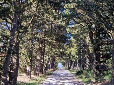 Vente maison 21 pièces Carcassonne 11