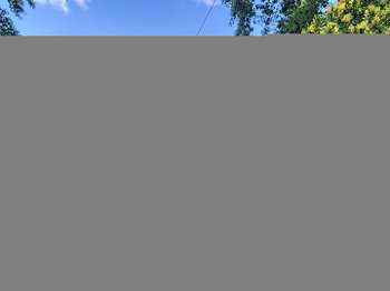 Vente Maison 3 chambresCarentoir