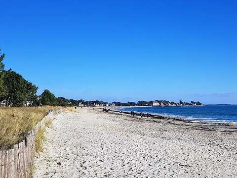 Vente maison 8 pièces Carnac 56