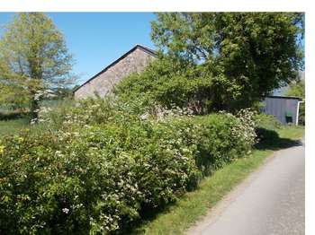 Vente Maison 3 chambresCarquefou
