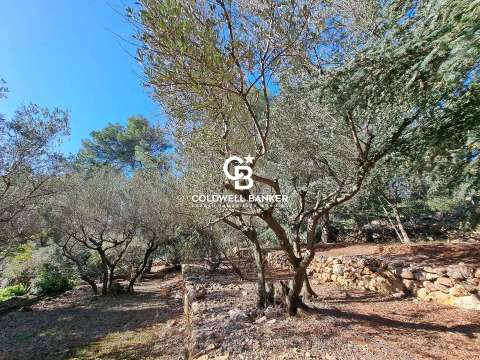 Vente maison 9 pièces Carqueiranne 83