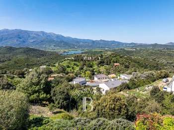 Vente maison 10 pièces Casta 2B