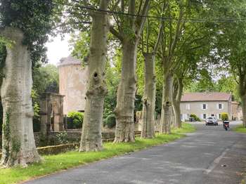 Vente maison 1 pièce Vente maison 1 pièce