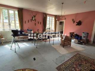 Vente maison 15 pièces