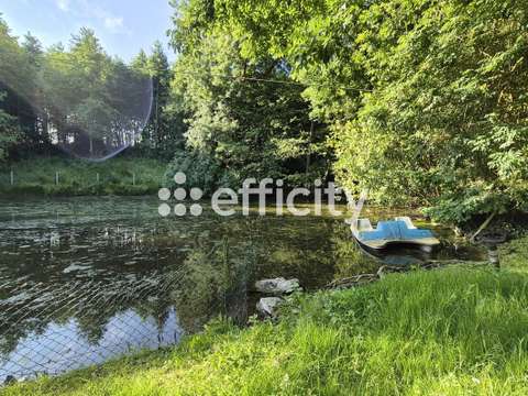 Vente maison 15 pièces