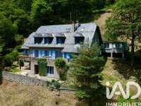 Vente maison 11 pièces