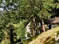 Vente maison 11 pièces