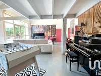 Vente maison 11 pièces