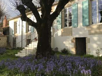 Vente Maison 4 chambresChaillé-les-Marais